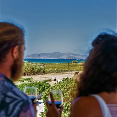 Studios Vrettos Beachfront Hotel
