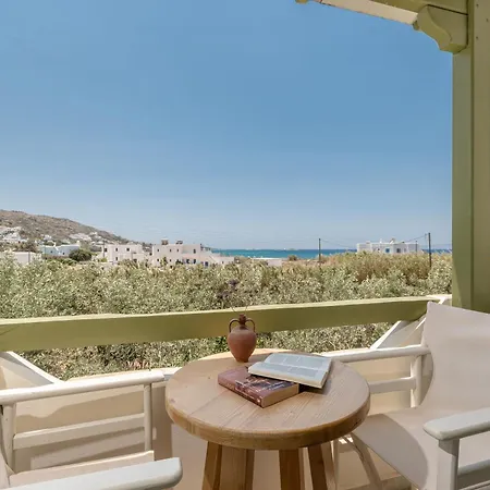 Studios Vrettos Beachfront Hotel Apartment Plaka (Naxos)
